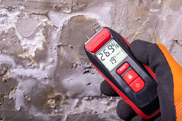 Best Emergency Mold Remediation in Prairie Village, KS