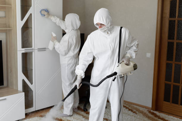 Best Post-Flood Mold Remediation in Prairie Village, KS